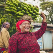 Sustainable Food and Agriculture