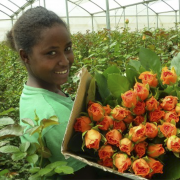 Horticulture